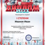 Образец Диплома "Новогодний"